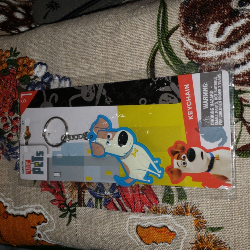 The Secret Life of Pets keychain New
